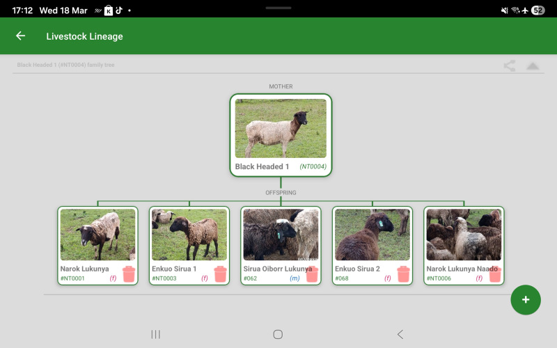 Lineage UI